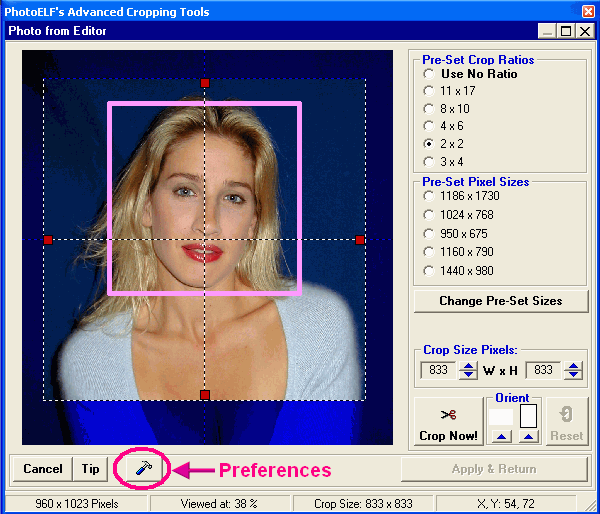 visa photo tool usa